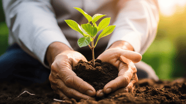 Socially Responsible Investing in Wealth Management